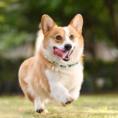 Pet Dog Repellent Collar, Cat Anti-flea Collar