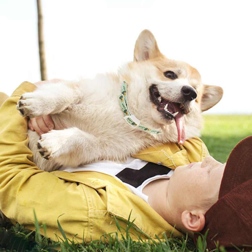Pet Dog Repellent Collar, Cat Anti-flea Collar