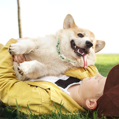 Pet Dog Repellent Collar, Cat Anti-flea Collar