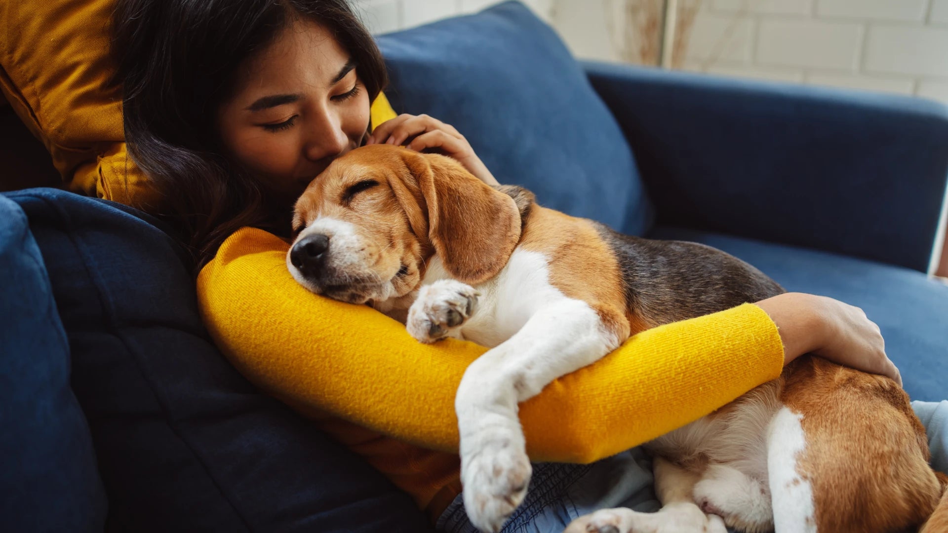 Pets Care